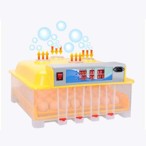 Hatching 36 Eggs Transparent Quail Eggs hatching machine, Cheap Fully Automatic Egg Incubator/